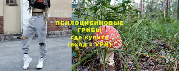 спиды Наволоки