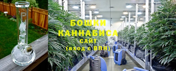 амф Надым