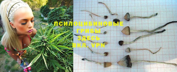 спиды Наволоки