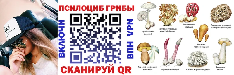 blacksprut tor  Щигры  Галлюциногенные грибы Psilocybine cubensis 