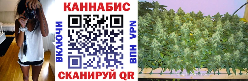 МАРИХУАНА ГИДРОПОН  ОМГ ОМГ как зайти  Щигры 